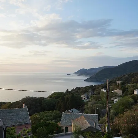 B&B Torra Di Ciocce Pino