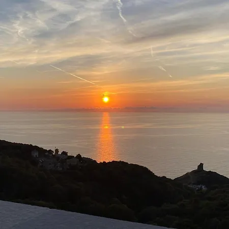 Torra Di Ciocce Pino