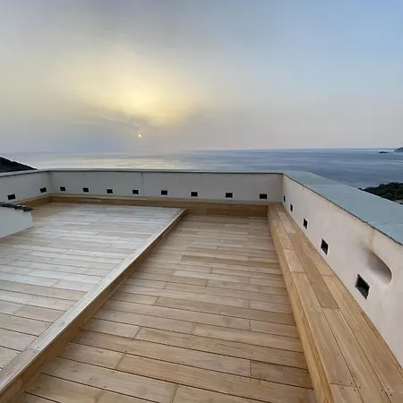 Torra Di Ciocce Pino