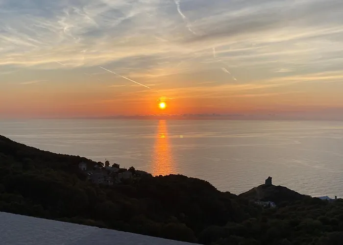 Torra Di Ciocce Pino